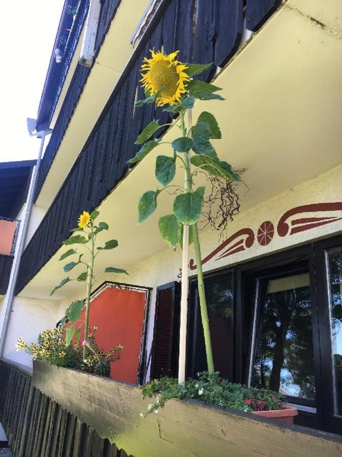 Ferienwohnung Hani シュピーゲラウ エクステリア 写真